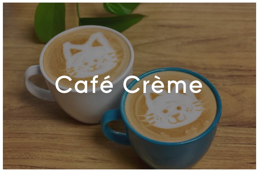 <span>Café Crème<br><br>1834 E Oltorf Street<br>Austin, TX 78741<br><br>(512) 710-9473</span>