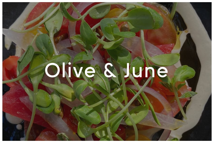 <span>Olive & June<br><br>3411 Glenview Avenue<br>Austin, TX 78703<br><br>(512) 467-9898</span>